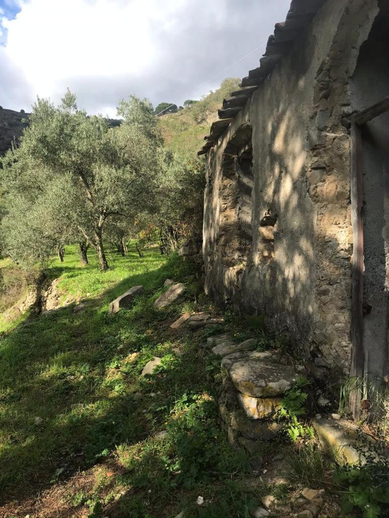 La Pergola Dei Paggi Villa Сестри Леванте Екстериор снимка